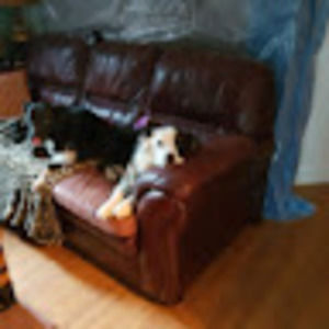 Meet your Posher, Adam